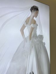 -金夫人婚纱摄影(总店)