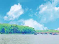 -昆山城市生态森林公园