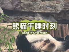 -石家庄市动物园