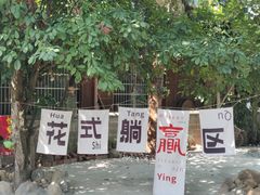 -西双版纳傣族园