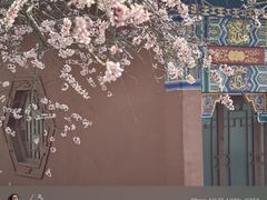-桃花堤公园