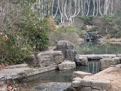 -习家池
