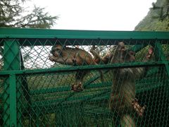 -藏龙百瀑风景区