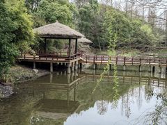 -上海滨江森林公园