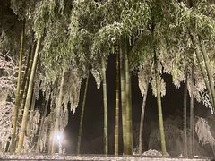 -江南天池高山汤泉城