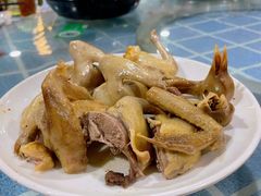 -石岐乳鸽村(南海第三分店)