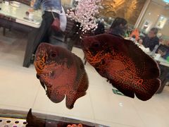 -福禄财东北菜(珠江帝景店)