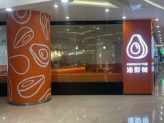 -油梨树 AVOCADO TREE(亮马桥店)