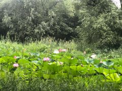 -碓臼峪自然风景区