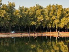 -森林公园(尖草坪区)