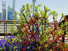 -北外滩滨江绿地