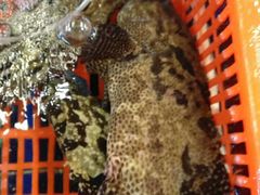 -79号渔船海鲜饭店(华强北店)