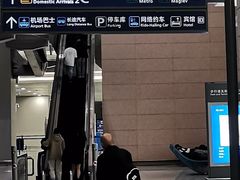 -上海浦东国际机场-T2航站楼