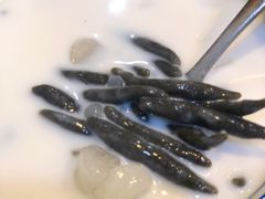 椰汁鸡屎藤-文昌邓记清补凉(西沙路店)