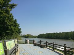 -大湾区中央湿地公园
