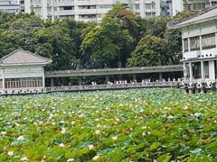 -荔湾湖公园