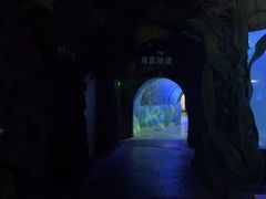 -嘉兴海底世界