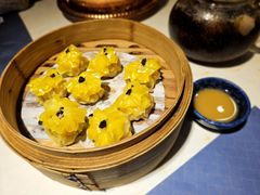 -点都德·毕德寮