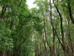 -同里国家湿地公园