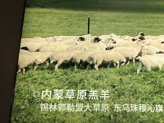 -巴奴毛肚火锅(六天地店)
