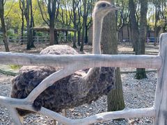 -昆山城市生态森林公园