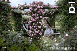 -巴黎经典婚纱摄影PARISSIC