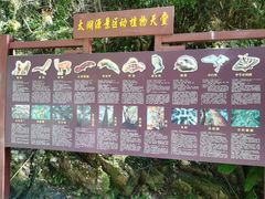 -太湖源风景区