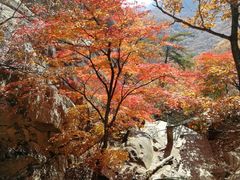 -丹东凤凰山景区