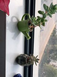 -尚艺造型.剪烫染.接发