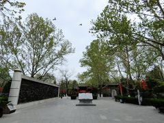 -大槐树寻根祭祖园