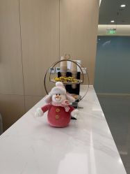 -禾美嘉医疗美容