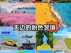 -信号山公园