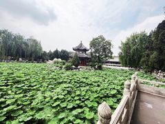 -莲池书院博物馆