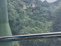 -东天目山风景区