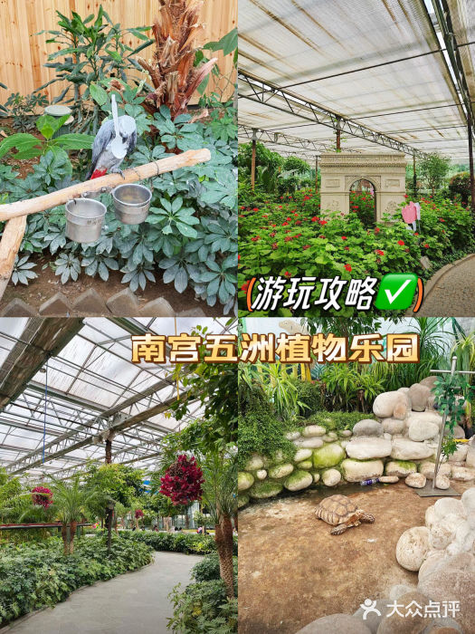 南宫五洲植物乐园图片