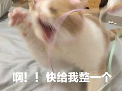 -傣妹火锅(四川北路店)