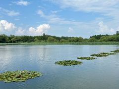 -溱湖国家湿地公园