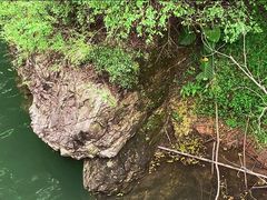-佛山市三水区大南山森林公园