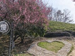 -南京市江宁方山