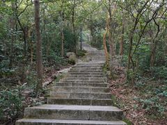 景点-野狸岛