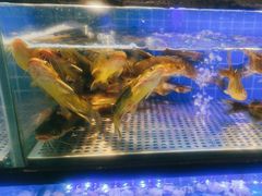 -透明思烤·自助烤肉海鲜火锅(东部星悦天地店)