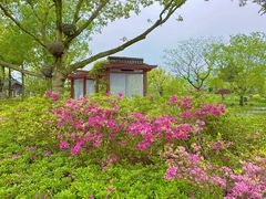 -南北湖风景区
