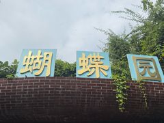 -野象谷景区