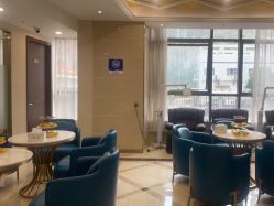 -碧莲盛·不剃发植发