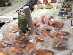 -潮一不贰·法式甜品·生日蛋糕·西式简餐(外滩店)