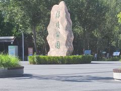 -绿堤公园
