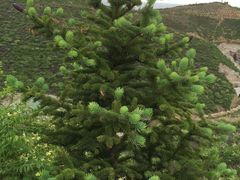 -山西乌金山旅游区