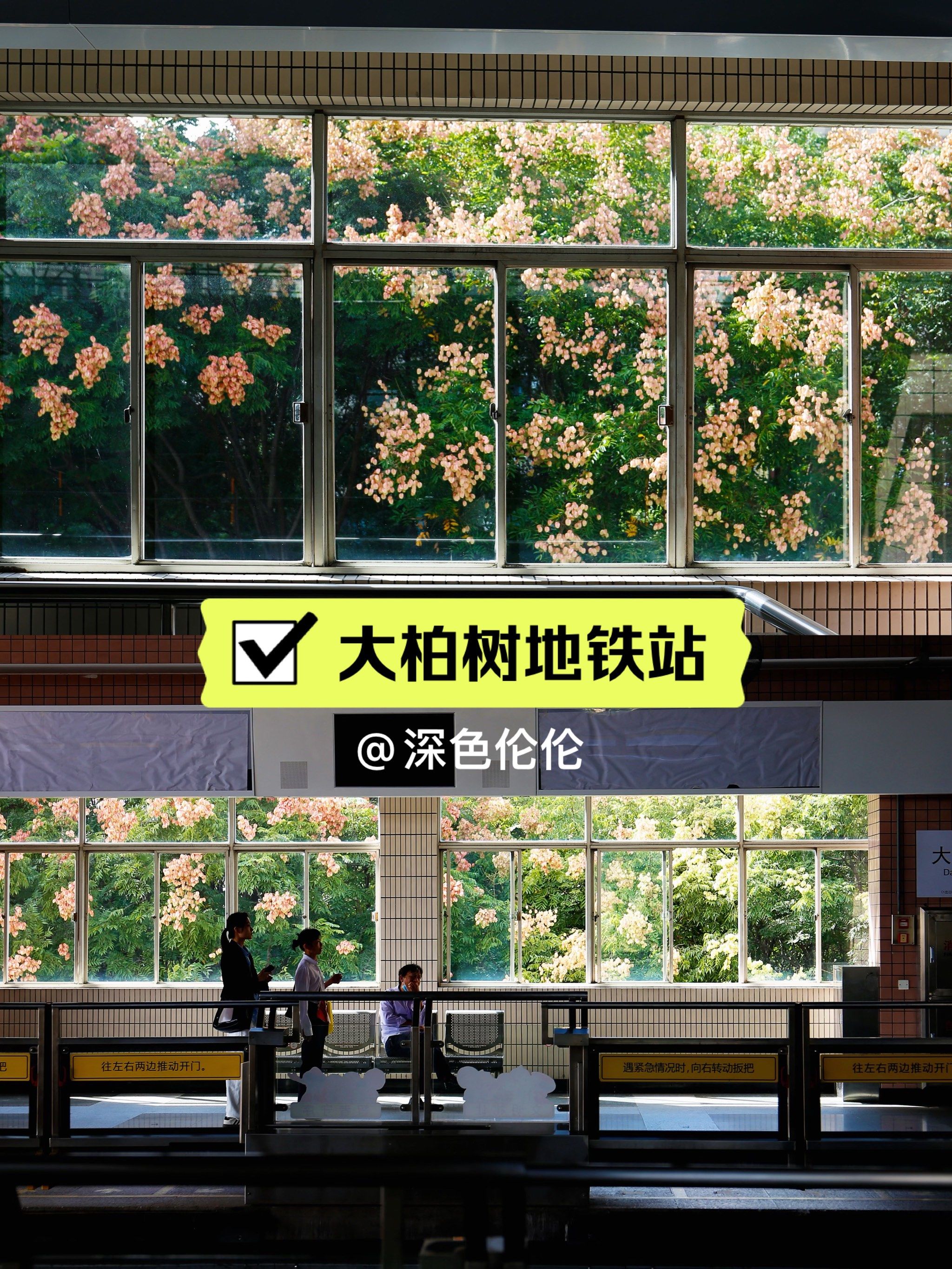 场盛大的秋天\\n象征着绚烂的一生\\n\\n?错过了去年大柏树地铁站