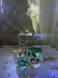 -安吉拉青春化管理中心