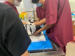 -纳吉亚猫专科动物诊疗中心(蒋宅口分院)